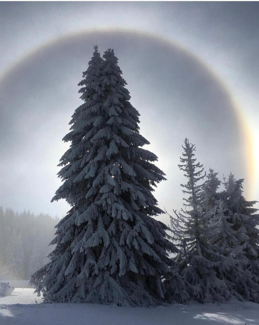 Silver Mountain Milmari Kopaonik Dış mekan fotoğraf